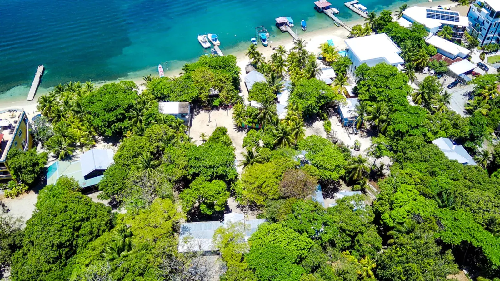 Aerial view of Blue Horizon&rsquo;s beachfront &mdash; palm trees, white sand, docks and turquoise water