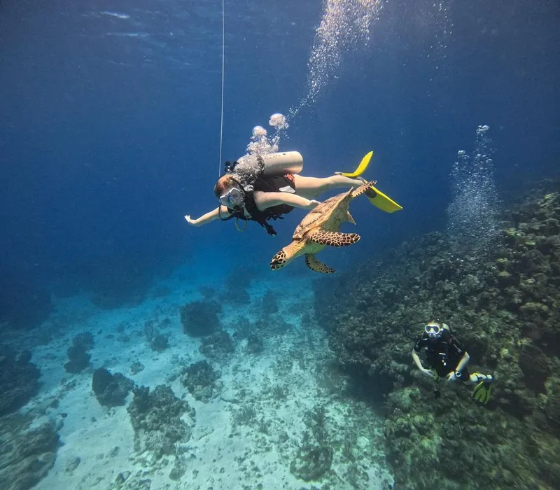 A diver swimming alongside a sea turtle above the reef