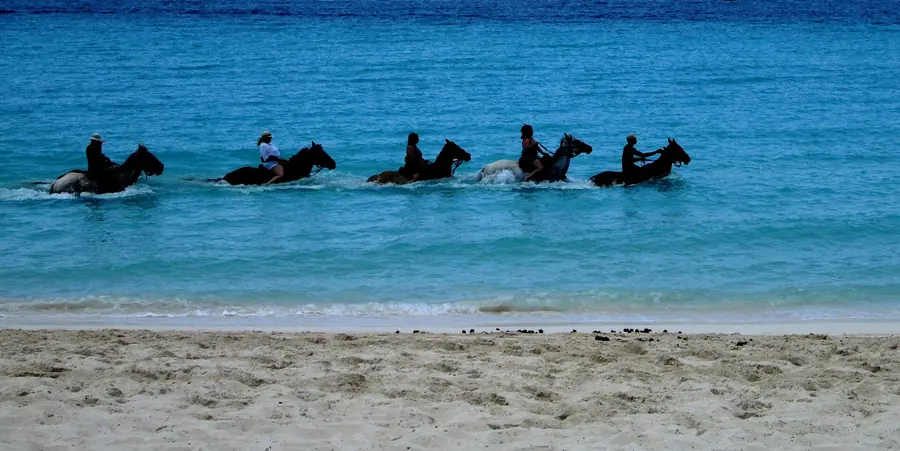 Riders on horseback wading through turquoise Caribbean water along the beach