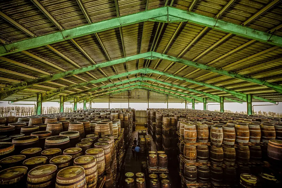 Rows of oak rum barrels aging in a distillery warehouse